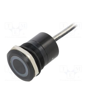 MC25LCBGR Switch: capacitive; Pos: 2; SPST-NC; 0.01A/12VDC; IP68; ON-OFF; MC wkb42XpZDKdWGjwwyUCy01Qr84_oJ-c86wTELloTzlc