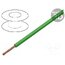 FLRY-A0.35-GR/1 Wire; FLRY-A; 1x0.35mm2; stranded; Cu; PVC; green; 60V; Class: 5 4S9IukrLRFEjVXTLj8a7099_VRqBZF76kFVrwKQx15w