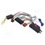 C1215PAR Cable for THB, Parrot hands free kit; Audi fiMde3DAgvtMhBqrcUUzp29ynFJ3zcc1fQWhUluCFtY