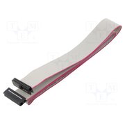 DS1052-01-202B2NA206001 Ribbon cable with IDC connectors; Tape ph: 1mm; Contacts ph: 2mm vf_hqXACavVqT06nn6Pn_LfofoBUbUXKOcC04b1q7ME