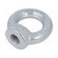 NZU24 Lifting eye nut; eye; M24; steel; Plating: zinc; DIN 582; 50mm S6TuZya0iyGvcfydZLlo3T_iCQMcexUEIDtaOaFe16c