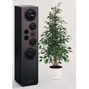 Visaton 'EXPERIENCE V 20' komplekts, maks. 300 W, 4 omi, 29–30000 Hz, 88 dB, pāris/2 gab.

 GKVS3EXPERIENCEV20.jpg