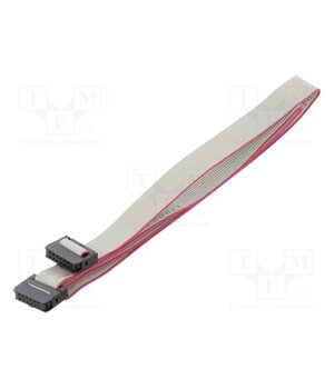 DS1052-01-122B2MA206001 Ribbon cable with IDC connectors; Tape ph: 1mm; Contacts ph: 2mm OCzc7OBK3s-080Yri7am24zCsHQs7HSMFzGiF4ypllg