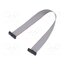 FFSD-10-D-08.00-01-N Ribbon cable with IDC connectors; IDC,both sides; 203.2mm; 8" z22kDO3O1ytO_qNeLI_ce1XjXPAk7qGJN9KFst210sg