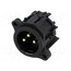 AC3MAV-AU-PRE Connector: XLR; socket; male; 6A; 133V; PIN: 3; straight; THT y7Mz43aH1s1339itjbSVnM_V_KdKOf_tataG5iAY7m8