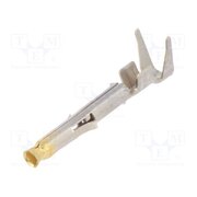 170366-3 Contact; female; brass; selectively gold plated; 0.3÷0.8mm2; bulk YchJGET9UP3kvnNgPvMu1VrJ-N2qPee8NI_n0XkqPjo