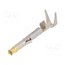 170366-3 Contact; female; brass; selectively gold plated; 0.3÷0.8mm2; bulk YchJGET9UP3kvnNgPvMu1VrJ-N2qPee8NI_n0XkqPjo