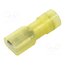 MSEPA_6,3-6/100 Terminal: flat; 6.3mm; 0.8mm; female; 4÷6mm2; crimped; for cable 3QicTs0m6z00mJVl7nsutAY-cFPPSyjSxObJTewOEQg
