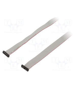 FFSD-12-D-40.00-01-N Ribbon cable with IDC connectors; IDC,both sides; 1016mm; 40" MvUJr7H_4EZB_-AnZYFIc_6ne22jU2NIscJTcdSV5gI