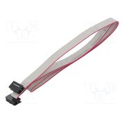 DS1052-01-102B2NA206001 Ribbon cable with IDC connectors; Tape ph: 1mm; Contacts ph: 2mm mj8J8-uyePbgBGDViiZEPYM-nQgY06fpid9GLVfFs0U