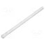 1282.5001 Fiber for LED; Ø3.2mm; L: 45mm; round; Front: convex; straight TEMHEwc6yoBNiVfEuYqexNlCmo1fBGIjH4N7dbpMagE