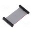 FFSD-17-D-02.00-01-N Ribbon cable with IDC connectors; IDC,both sides; 50.8mm; 2" lBj5hwvKZwWsz4f6-X0feNGyQICrQ_ugBts9Jo1KUQY