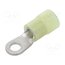 FNGS4-6 Tip: ring; M4; Ø: 4.3mm; 2.5÷6mm2; crimped; for cable; insulated cKTjiqTp6blZxknPpZ43OtCPtY-br2DVRYPA5ZWyXLI