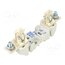 354172 Fuse holder; NH1; for DIN rail mounting; 250A; Poles: 1; 1kVDC -N6NO7YLU68R9E284FXwBw2aXNpdaMK0ttAK5QgXjS4