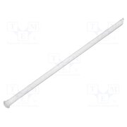 1292.1301 Fiber for LED; Ø2mm; L: 45mm; round; Front: flat; straight WNO3IN6g2o3qOECQt3ZdoAOU-NVrWliPebjFcTPgLik