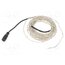 OSWSW51006B-5V LED; white cold; 3.75W; 100lm; 120°; No.of diodes: 100; 5VDC WLSXei9a6-xRVxrOsM8hXKYtrslvozQLZ-mPIVdFrNQ