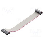 DS1052-01-202B2MA201501 Ribbon cable with IDC connectors; Tape ph: 1mm; Contacts ph: 2mm b8YmheBTcBHm9aGkVKSsRshLKEYCkGXUrP_WPwdpDGY