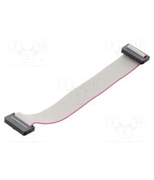 DS1052-01-202B2MA201501 Ribbon cable with IDC connectors; Tape ph: 1mm; Contacts ph: 2mm b8YmheBTcBHm9aGkVKSsRshLKEYCkGXUrP_WPwdpDGY