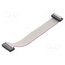 DS1052-01-202B2MA201501 Ribbon cable with IDC connectors; Tape ph: 1mm; Contacts ph: 2mm b8YmheBTcBHm9aGkVKSsRshLKEYCkGXUrP_WPwdpDGY