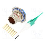 D38999/24FB35PN Connector: military; socket; male; PIN: 13; straight; crimped; 5A qD-ow6vtUob9HNQ8XdCNm8ivjannwfNRVGDTfbsZmno