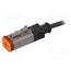 SAC-4P-1,5-PUR/DTFS Cable: for sensors/automation; PIN: 4; DT06-4S female; straight UDh0jo7udmyHTdTqZy18f1wewEgrR968fF_yqKzSOoY