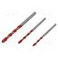 0000100703100 Drill bit-kit; steel; blister; PROFI MULTICUT; 5mm,6mm,8mm; 3pcs. P_tBsqe7QMD1BEodOSDR1LKpHBIGkqDJnl2-GPhDQhw