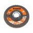 3926-125IM-C60 Flap grinding wheels; Ø: 125mm; Granularity: 60; 22.23mm; Class: 5* qBKfi6TKpcWHnInVGdmDcTwLIWSFTzcb8mk-e4gZblA