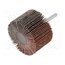 RG.027 Grinding pin; Granularity: 60; Holder: plunger; 6mm; flap wi_mfXQp16_W1pz8rZVI7UjBsQeEU3O_zmUittdb4KE