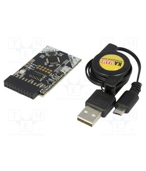 ZL30PRGV2-1 Programmer: microcontrollers; ARM; USB; 1.65÷3.6VDC LeBwBRM4typCowsXn6bCW3s6wpT7SfRBjn3a8dSEN2w