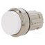 3SU1050-0BB60-0AA0 Switch: push-button; 22mm; Stabl.pos: 1; white; none; IP67; 3SU1.5 jtvLsh7GscR48u7KnAaU6aRocYxzwBDMZ-HJu0RZFo0