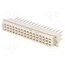09062486823 Connector: DIN 41612; plug; female; PIN: 48; straight; 6A; for cable QKuxOUcMv1x3Npd91hloeAWGS2N5SRCKSsnz3ZyqDFA