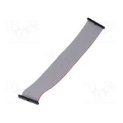 FFSD-25-D-08.00-01-N Ribbon cable with IDC connectors; IDC,both sides; 203.2mm; 8" NQtsZNaY_3G7bpEESCD3DSdZheblhMp6ZXUZWt4TIgI