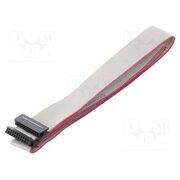 DS1052-01-162B2MA201501 Ribbon cable with IDC connectors; Tape ph: 1mm; Contacts ph: 2mm h8BlRXETDe1N5sArczUlu0fP5Y9xGUcJScYNkSv2ZCM
