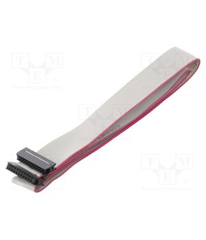 DS1052-01-162B2MA201501 Ribbon cable with IDC connectors; Tape ph: 1mm; Contacts ph: 2mm h8BlRXETDe1N5sArczUlu0fP5Y9xGUcJScYNkSv2ZCM