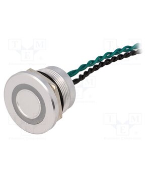 PS223P10YNT1G24VT Switch: piezoelectric; Pos: 2; SPST-NO; 0.2A/24VAC; 0.2A/24VDC RyyGccjJ5bDlHRXWAz3sMMA44Y3o-97qWykS550sAeA