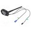 ANT.61 Antenna; car top,automotive; 0.2m; AM,FM,GPS; with amplifier k8zpvRqhKeEpFD61MV7wm9t5YHvllPcOg6lt8ucN0VI