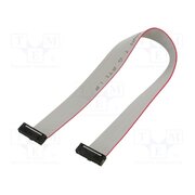 FFSD-09-D-08.00-01-N-R Ribbon cable with IDC connectors; IDC,both sides; 203.2mm; 8" GCPtGpLPEZTr2ecwb6mTfaoCJSQjXpzJB-Fb9fMAHWY