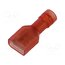 MSEPA_6,3-1/100 Terminal: flat; 6.3mm; 0.8mm; female; 0.5÷1mm2; crimped; for cable VF7gUPrU-GvcvgA7FejI648j9sUE0CkMAZI01mLUhKE