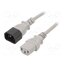 LT-602+501 H05VV-F 0.75/3C GRY 0.5M Cable; 3x0.75mm2; IEC C13 female,IEC C14 male; PVC; 0.5m; grey PvnsH6HgkOhq9B7YnehvOKuonG65goqIWLxD6ayEkcs