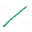 IRPP05GRE050 Rope; polypropylene; Ørope: 5mm; L: 50m; with a core; green pT2vYP3k5p9froMZNuNqkINc1XKF333nOSUm7jfLoQ8