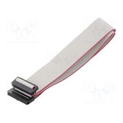 DS1052-01-242B2MA206001 Ribbon cable with IDC connectors; Tape ph: 1mm; Contacts ph: 2mm vxLH0V6t-rYI8d2raEqlmUYtM6iYAbyBbmWQTSZfcrY