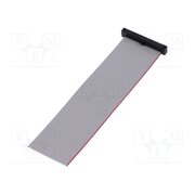 FFSD-20-S-04.00-01-N Ribbon cable with IDC connectors; IDC,wires; Tape ph: 0.64mm 6ihHEu6gT4bs6F0MrPvlmJT8uwKdZrXKfAmrSQ9HLpE