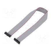 FFSD-10-D-10.00-01-N-R Ribbon cable with IDC connectors; IDC,both sides; 254mm; 10" RvEwrppqRDSXFv54Zqt7i25D1W1KjXN4IkZg18KRZ6Q