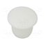 10060582 Stopper; H: 8mm; push-in; Flange dia: 12mm; white; 054085211303 yLLXQhXtY_8Bn4pAsssn1Z76it8FaCfI4MQOoHNMCEs