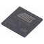 AT91SAM9X25-CU IC: ARM microprocessor; ARM926; 0.9÷1.1VDC; SMD; LFBGA217; PWM: 4 yvystCDyhWeAh7cxXEl1kabfHhjwT7hGXcOQk8kMvZI