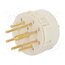 09151092602 Connector: M23; contact insert; PIN: 9(1+8); male; soldering; 200V KNEAHaF4PpN7tFkqr3bEZFVDPxs-pxiOGlgNnzkAUII