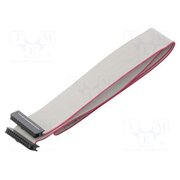 DS1052-01-242B2NA206001 Ribbon cable with IDC connectors; Tape ph: 1mm; Contacts ph: 2mm bmROIAvLDuJjLKayzMmzdxjq3P2sqUfB90XYBpDFTho