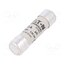 C14G32 Fuse: fuse; ceramic,cylindrical,industrial; 32A; 500VAC; gG 9n50sJwAl4TRzIJlzLBN56Ws29_VtUXuFe7_knRwFsI