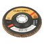 967A 125MM P 60  65055 Flap grinding wheels; Ø: 125mm; Granularity: 60; 22.23mm yqHAwiETd5pfepT7ggen6agGFgLgYCta8tl1RwYwnPA
