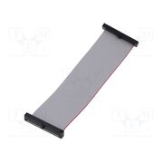 FFSD-20-D-04.00-01-N Ribbon cable with IDC connectors; IDC,both sides; 101.6mm; 4" x6vjBb-g93cxHpnphc1-Tz6A9vmUusKKYVIF2e8SWrY